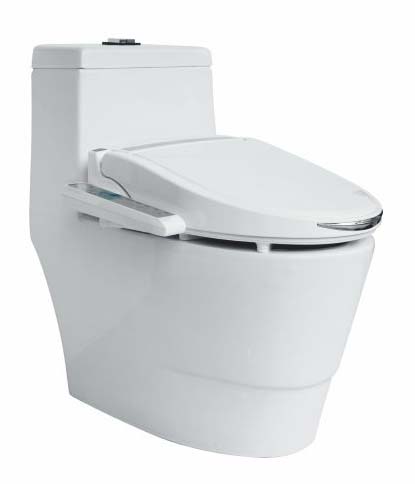 HB2100 Intelligent Electric Bidet