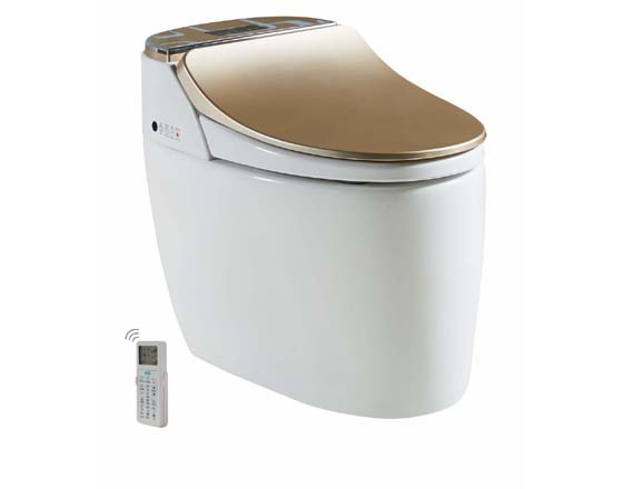 Auto Cleaning Intelligent Electric Smart Toilet