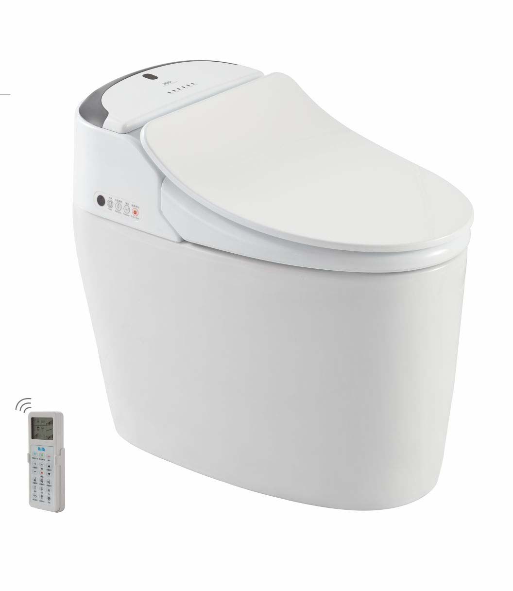 Elegant Style Auto Deodorizer Ceramic Chinese Cheap Smart Pedestal Squat Toilet