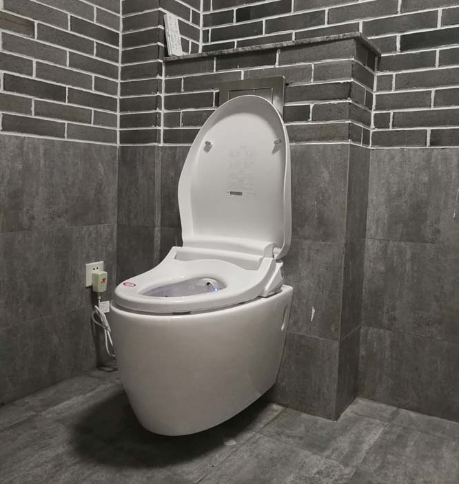 AK47 Lengthened intelligent Toilet Bidet