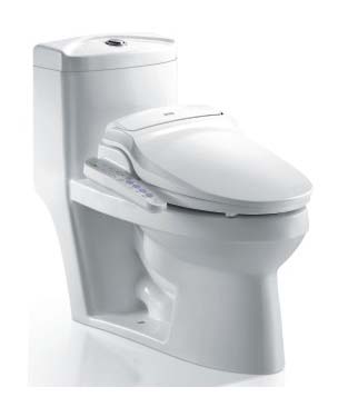 CK450 Electric Bidet